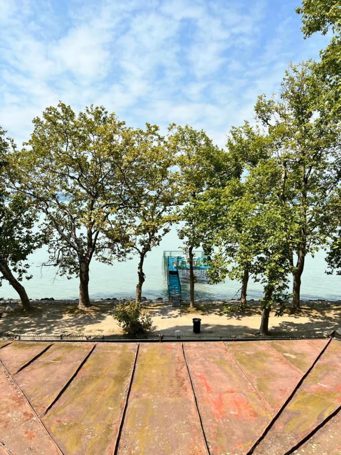 Party Villa Holiday Rent Balatonföldvár Dış mekan fotoğraf