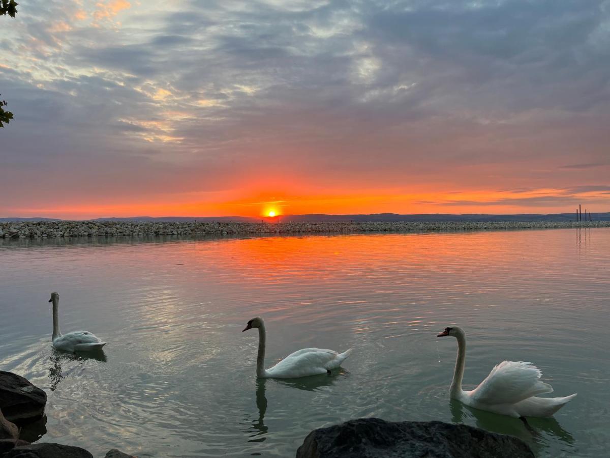 Party Villa Holiday Rent Balatonföldvár Dış mekan fotoğraf