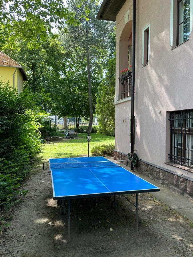 Party Villa Holiday Rent Balatonföldvár Dış mekan fotoğraf