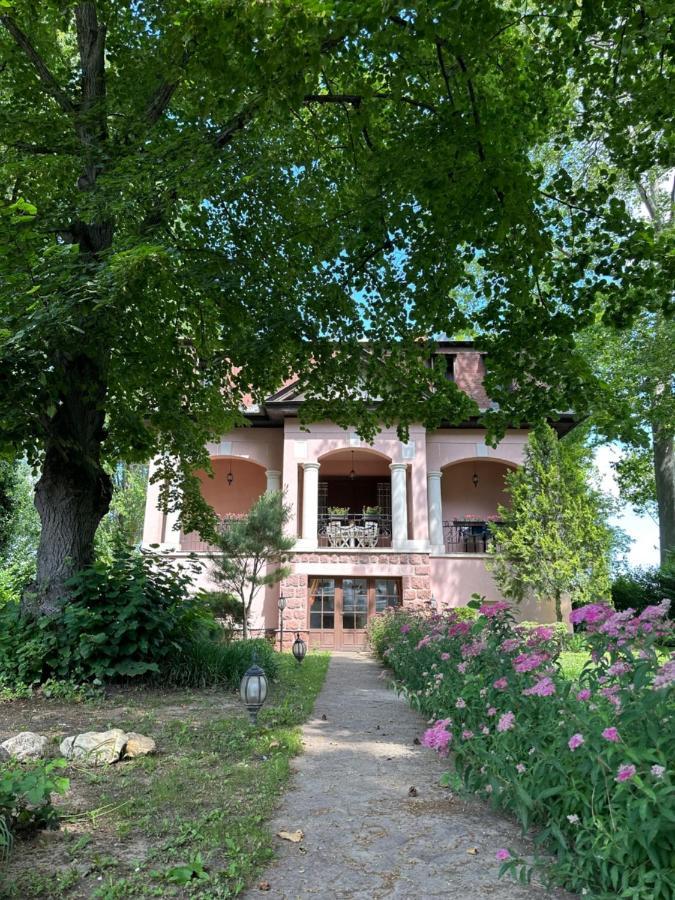 Party Villa Holiday Rent Balatonföldvár Dış mekan fotoğraf