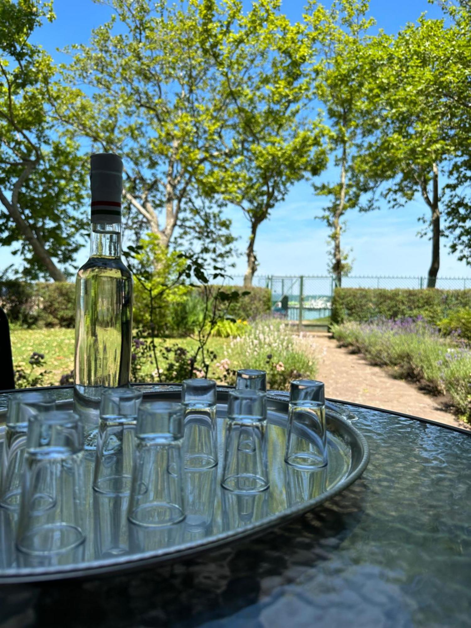 Party Villa Holiday Rent Balatonföldvár Dış mekan fotoğraf
